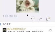 小黄爆料全过程视频,揭秘事件真相与幕后黑幕