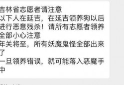 网友爆料道歉狗狗视频,温馨画面感动网友