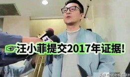 汪小菲爆料解读最新消息