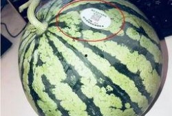 各类网红吃瓜,盘点娱乐圈那些鲜为人知的幕后故事