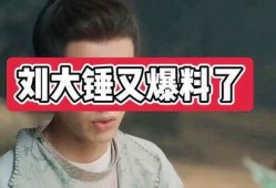 刘大锤爆料真实的视频,揭秘真实视频背后的惊人真相