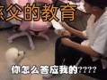 小潮院长原神爆料视频,小潮院长爆料视频深度解析
