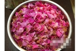 娱乐吃瓜酱玫瑰花,玫瑰花背后的秘密故事